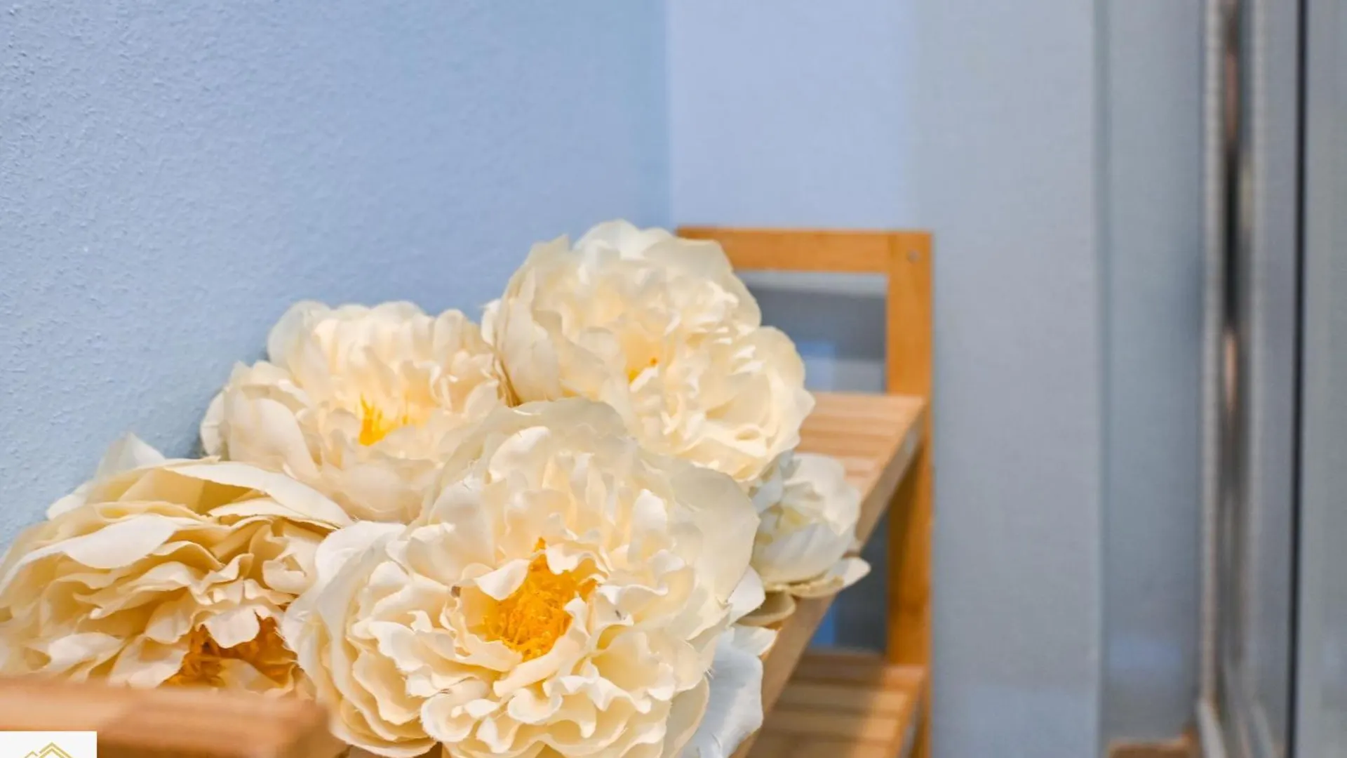 Inn Pisa Rentals - The Modern City Flat Apartment