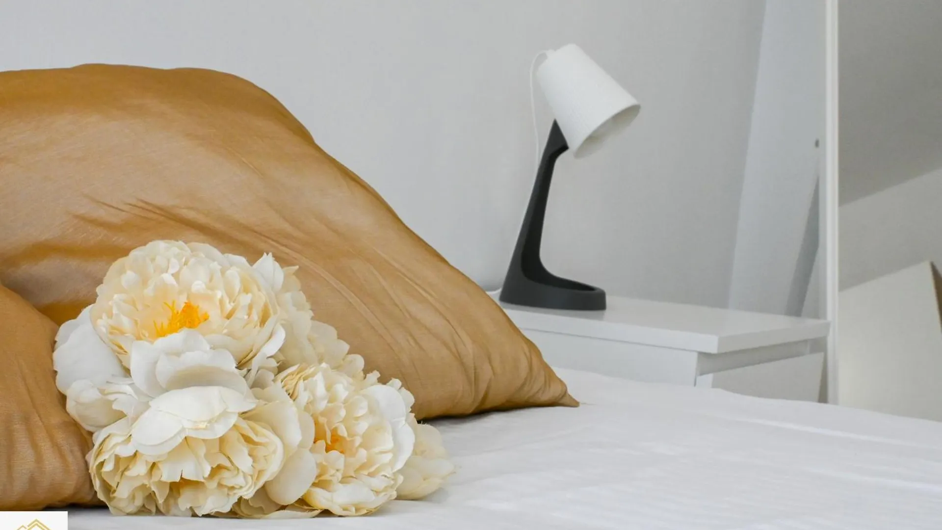 Inn Pisa Rentals - The Modern City Flat Italy
